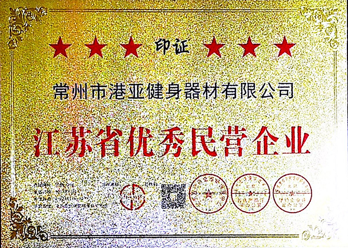 江苏省优秀民营企业