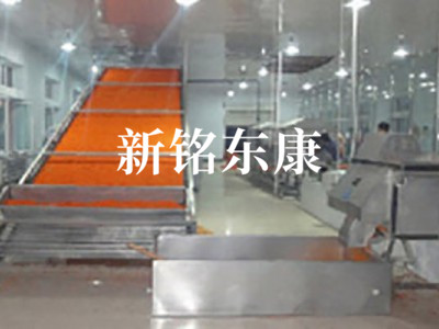 DWT系列脱水蔬菜干燥机图1