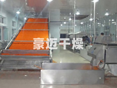 DWT系列脱水蔬菜干燥机图1