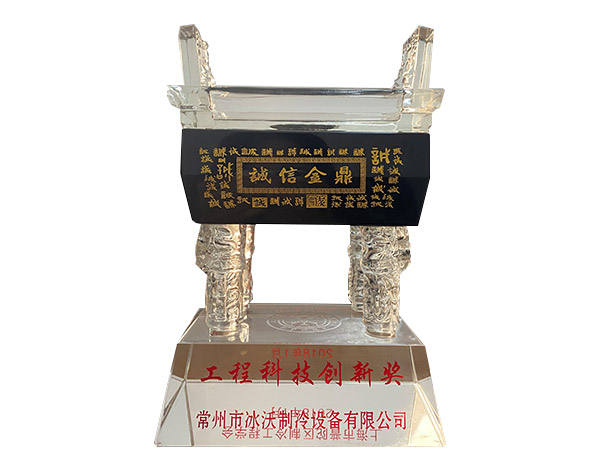 工程科技创新奖