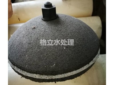 盘式曝气器图1