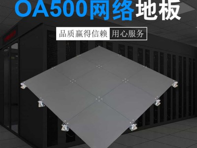 OA500网络地板图1