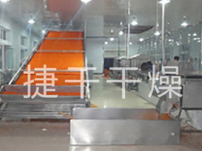 DWT系列脱水蔬菜干燥机图1