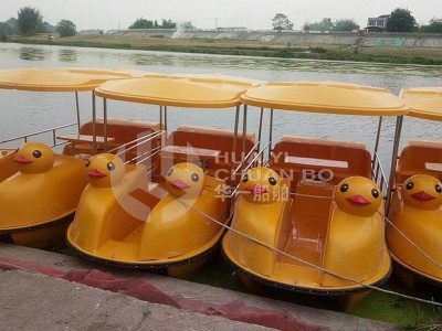 HY-小黄鸭电动图2