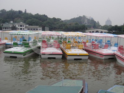 HY-五人电动老款图2