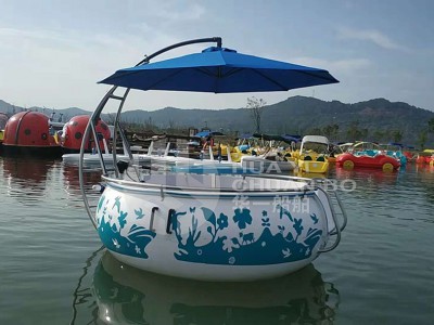 HY-烧烤船电动图2