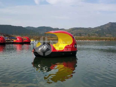 HY-甲壳虫电动图2