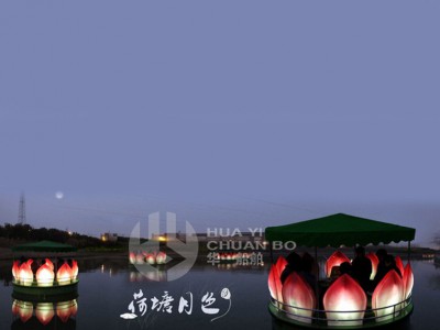 HY-荷花船电动图3