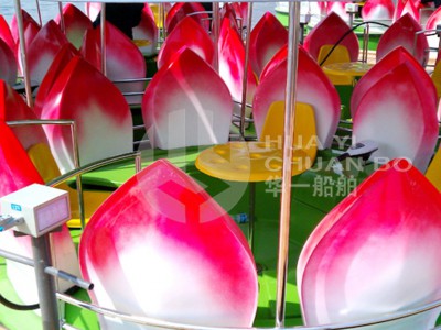 HY-荷花船电动图2