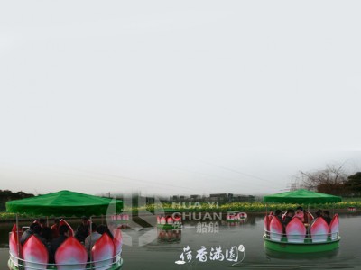 HY-荷花船电动图5