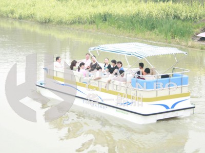 HY-750豪华电动图1