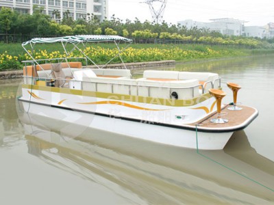HY-750豪华电动图2