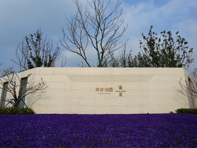 简介：