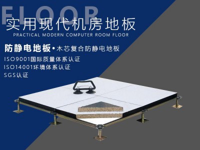 木芯复合防静电地板图1
