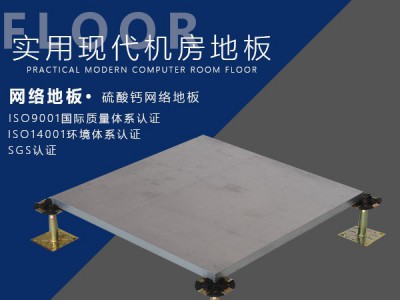 硫酸钙网络地板图1