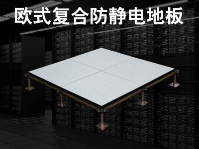 欧式复合防静电地板图1