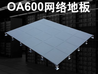 OA600网络地板图1