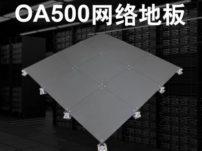 OA500网络地板图1