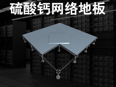 硫酸钙网络地板图1