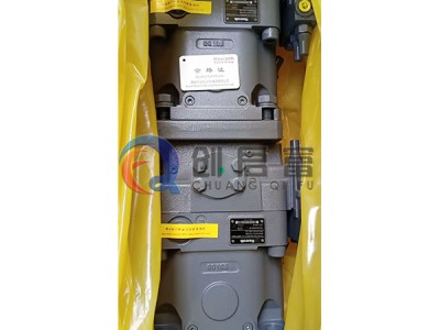 双联柱塞泵（力士乐）图1