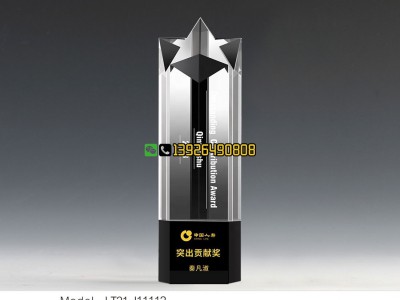 乌鲁木齐奖杯 年度杰出表现奖 企业表彰杰出员工奖杯定做图3