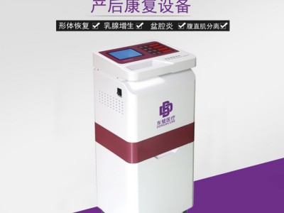产后低频脉冲治疗仪图1