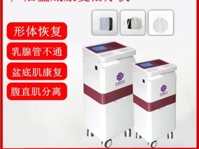 产后康复治疗仪讲解图1