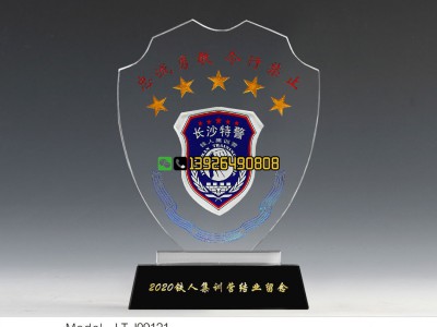 北京汽车奖杯 杰出经销商奖杯制作 汽车经销商年会表彰奖杯制作图4