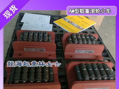 核电设备进岛用载重滚轮小车,33吨AM型载重滚轮小车图1
