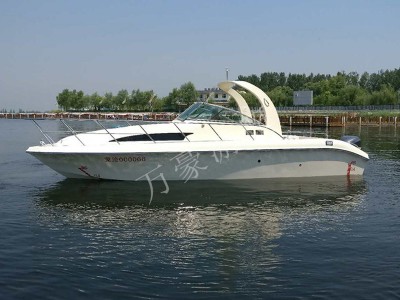 WH960游艇图1