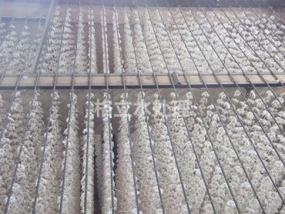 组合填料图1