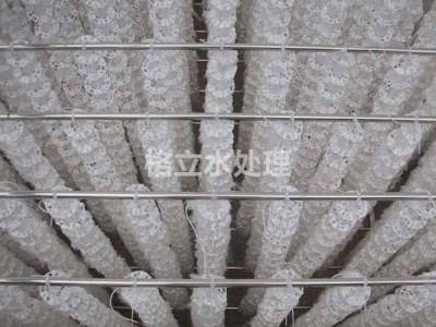 弹性填料图1