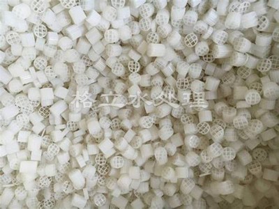 生物填料图1