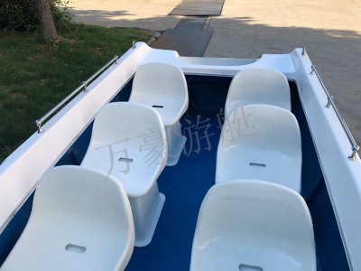 WH430敞开艇图4