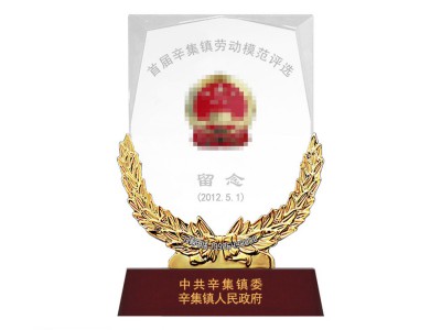 税局/公安局奖牌,授权牌,嘉奖牌,会员牌,加盟牌,欢迎定制图5