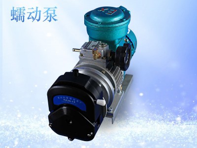 FB60-600C防爆蠕动泵图1
