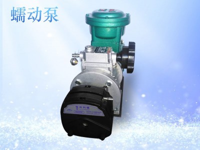 FB60-600B防爆蠕动泵图1