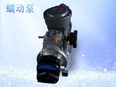 FB60-600A防爆蠕动泵图1