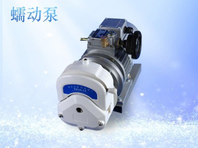 JT60-600C大流量工业蠕动泵图1