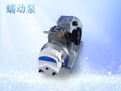 JT60-600A大流量工业蠕动泵图1