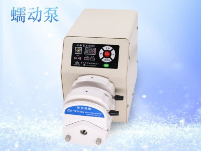 BT600X精密蠕动泵图1