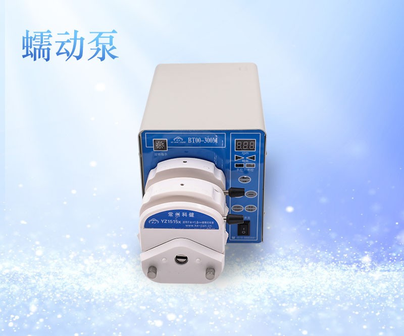 BT00-300M精密蠕动泵