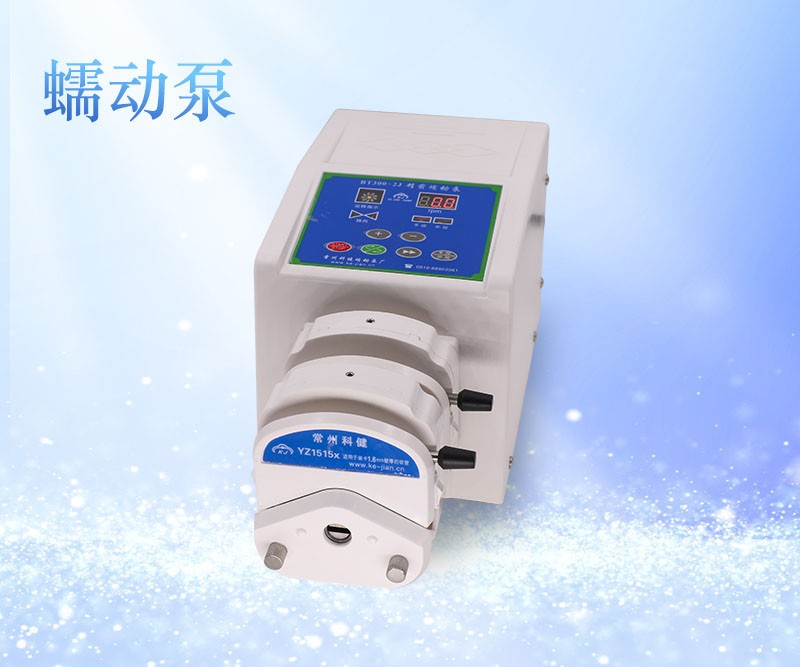 BT300-2J精密蠕动泵