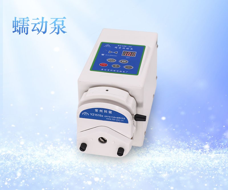 BT100-2J精密蠕动泵