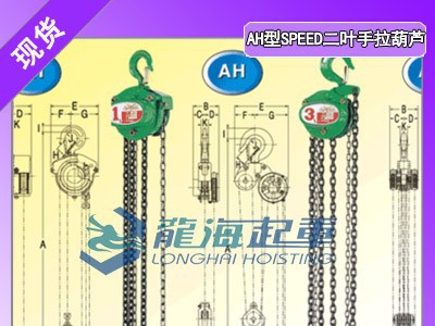 建筑工地用什么提升工具SPEED手拉葫芦龙海起重价格合理