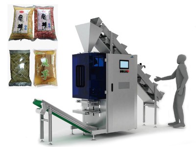 FM-X6全自动固液混合包装机图1