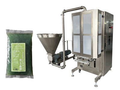 FM-G10全自动高速粘体称重包装机-转子泵图2