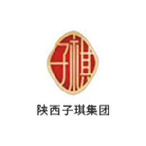 子琪集团